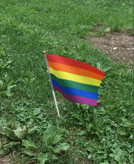 A small rainbow flag waves in the wind, surrounded by grass