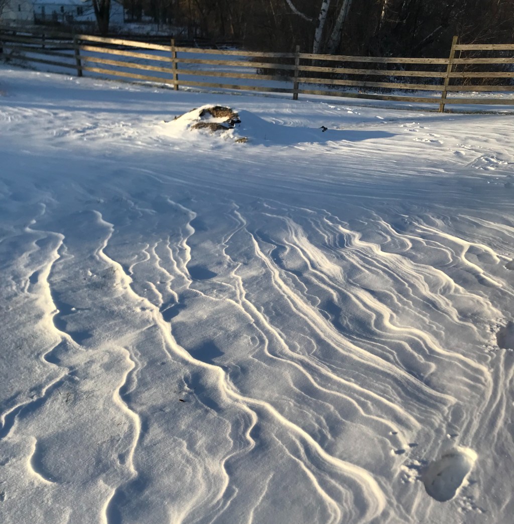 lines created by the wind in snow, with a fence in the background